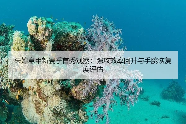 朱婷意甲新赛季首秀观察：强攻效率回升与手腕恢复度评估